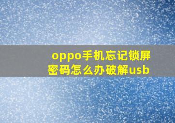 oppo手机忘记锁屏密码怎么办破解usb