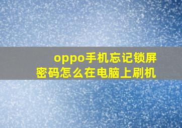 oppo手机忘记锁屏密码怎么在电脑上刷机