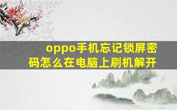 oppo手机忘记锁屏密码怎么在电脑上刷机解开