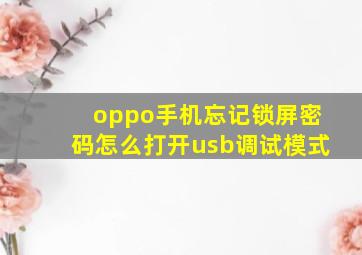 oppo手机忘记锁屏密码怎么打开usb调试模式