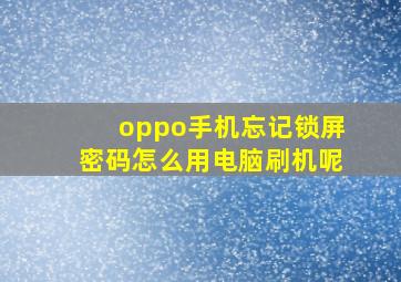 oppo手机忘记锁屏密码怎么用电脑刷机呢