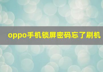 oppo手机锁屏密码忘了刷机