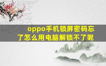 oppo手机锁屏密码忘了怎么用电脑解锁不了呢