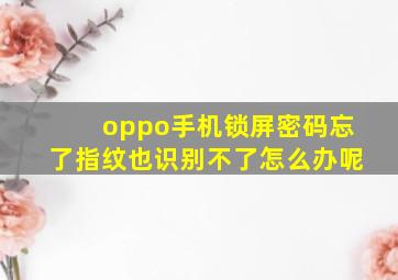 oppo手机锁屏密码忘了指纹也识别不了怎么办呢