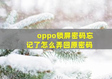 oppo锁屏密码忘记了怎么弄回原密码