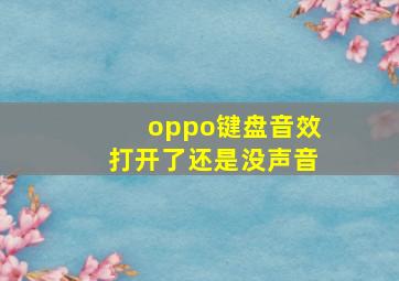 oppo键盘音效打开了还是没声音