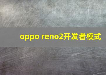 oppo reno2开发者模式