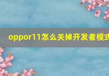 oppor11怎么关掉开发者模式