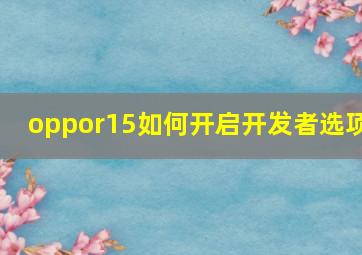 oppor15如何开启开发者选项