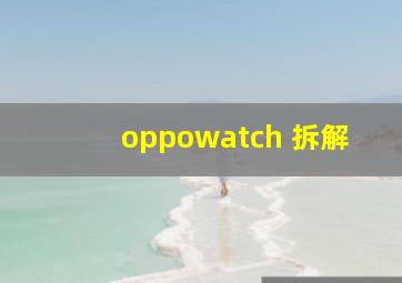 oppowatch 拆解