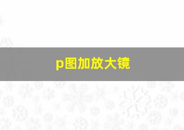 p图加放大镜