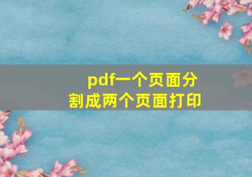 pdf一个页面分割成两个页面打印