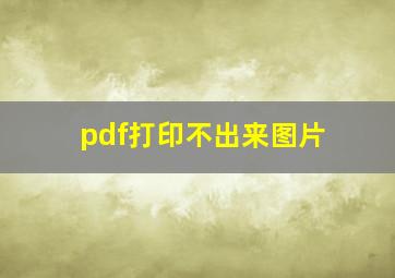 pdf打印不出来图片