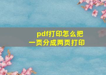 pdf打印怎么把一页分成两页打印