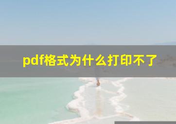 pdf格式为什么打印不了