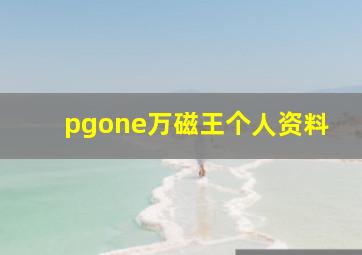 pgone万磁王个人资料