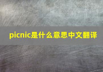 picnic是什么意思中文翻译