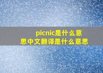 picnic是什么意思中文翻译是什么意思