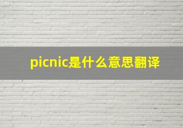 picnic是什么意思翻译