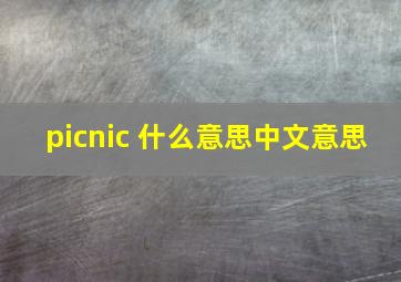 picnic 什么意思中文意思