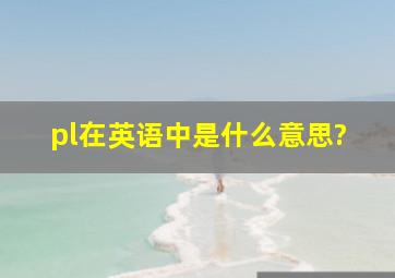 pl在英语中是什么意思?