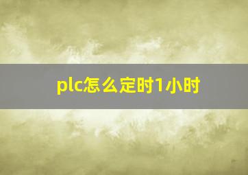 plc怎么定时1小时