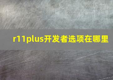 r11plus开发者选项在哪里