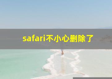 safari不小心删除了