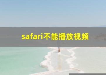 safari不能播放视频