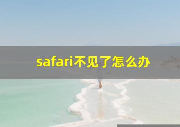 safari不见了怎么办