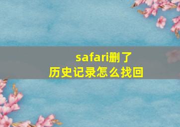 safari删了历史记录怎么找回