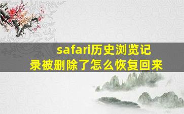 safari历史浏览记录被删除了怎么恢复回来