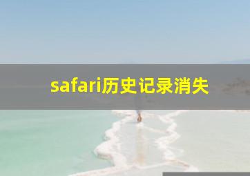 safari历史记录消失