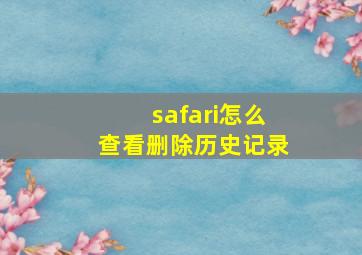 safari怎么查看删除历史记录