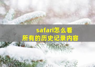 safari怎么看所有的历史记录内容