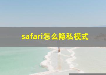 safari怎么隐私模式