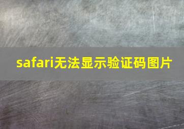 safari无法显示验证码图片