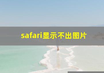 safari显示不出图片