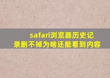 safari浏览器历史记录删不掉为啥还能看到内容