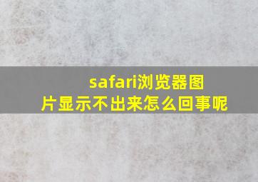 safari浏览器图片显示不出来怎么回事呢