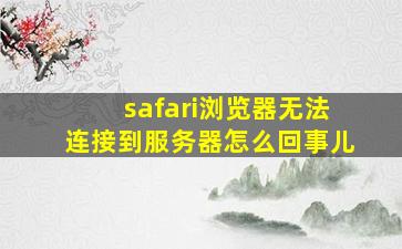 safari浏览器无法连接到服务器怎么回事儿