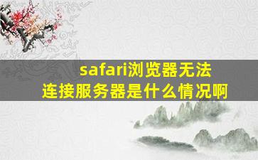 safari浏览器无法连接服务器是什么情况啊