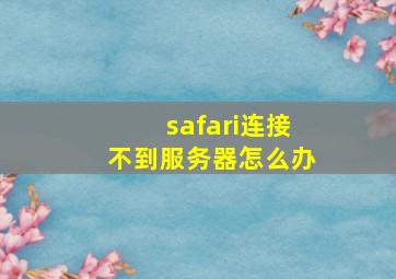 safari连接不到服务器怎么办