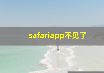 safariapp不见了