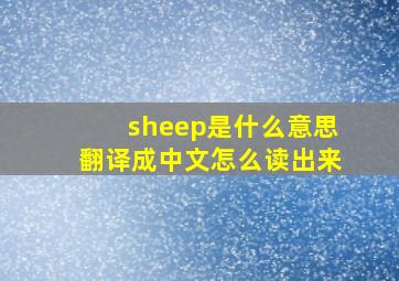 sheep是什么意思翻译成中文怎么读出来