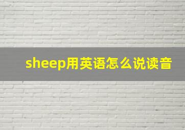 sheep用英语怎么说读音