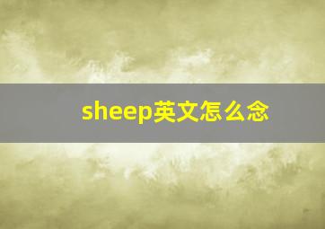 sheep英文怎么念