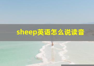 sheep英语怎么说读音