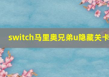 switch马里奥兄弟u隐藏关卡