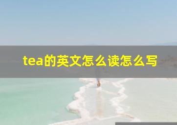 tea的英文怎么读怎么写